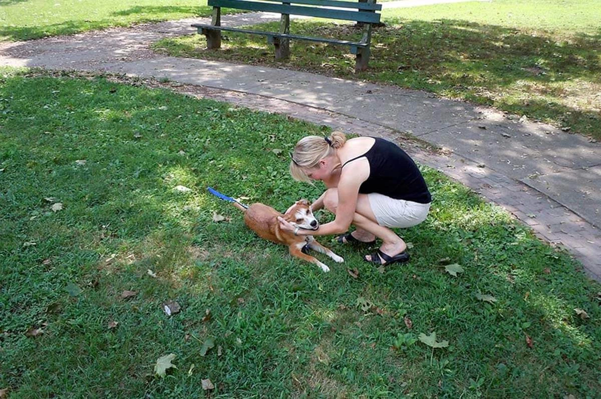 Do You Love Your Dog?